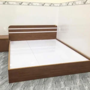 Giường Nhựa Chin Huei Plus Phối Màu Hiện Đại HĐ-GNCH06