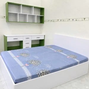 Giường Nhựa Chin Huei Plus Tối Giản Đẹp Hiện Đại HĐ-GNCH05