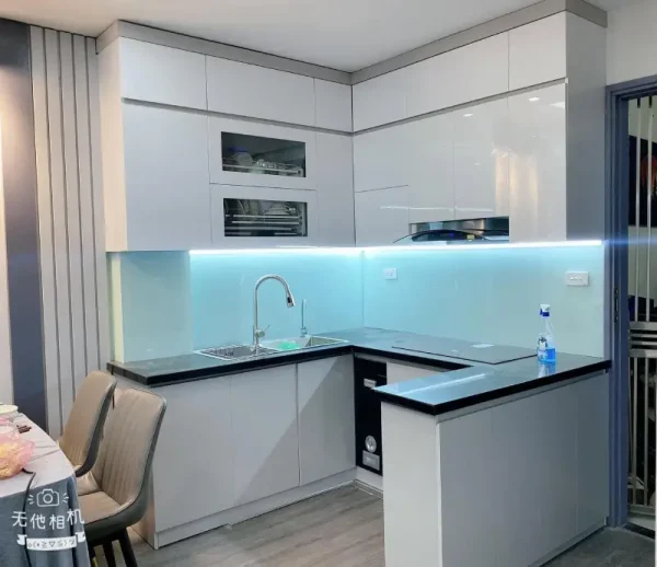Thông Tin & Kinh Nghiệm Chọn Mua Tủ bếp nhựa Chin Huei Plus